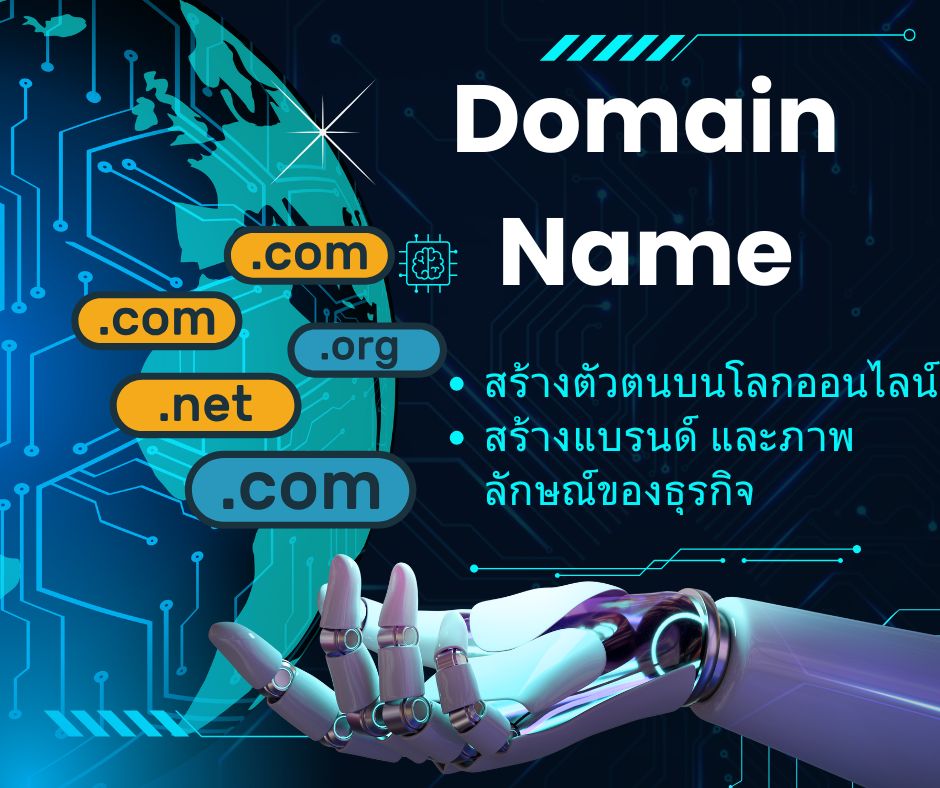 Domain Name (1)